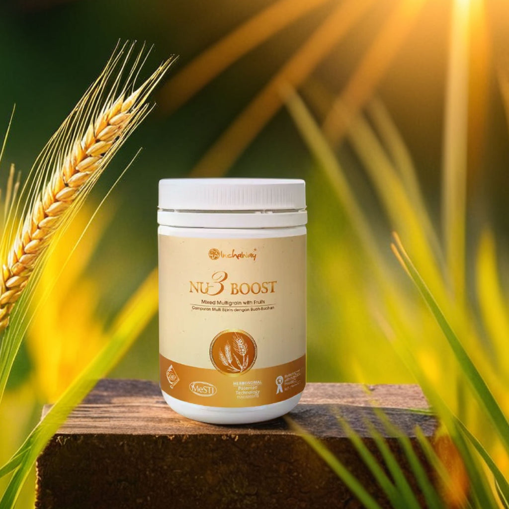 Nu3 Boost plant nutrition and protein powder by Inchaway