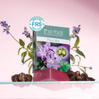 The Feel Phyto Bar 45-day cold process artisan soap